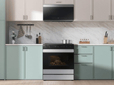 Samsung NSE6DG8700SR