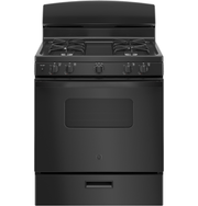 GE JGBS10DEMBB