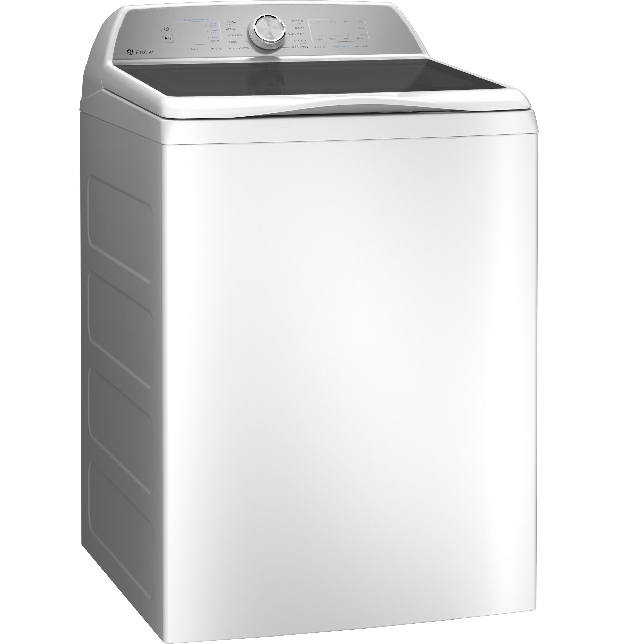 GE PTW600BSRWS