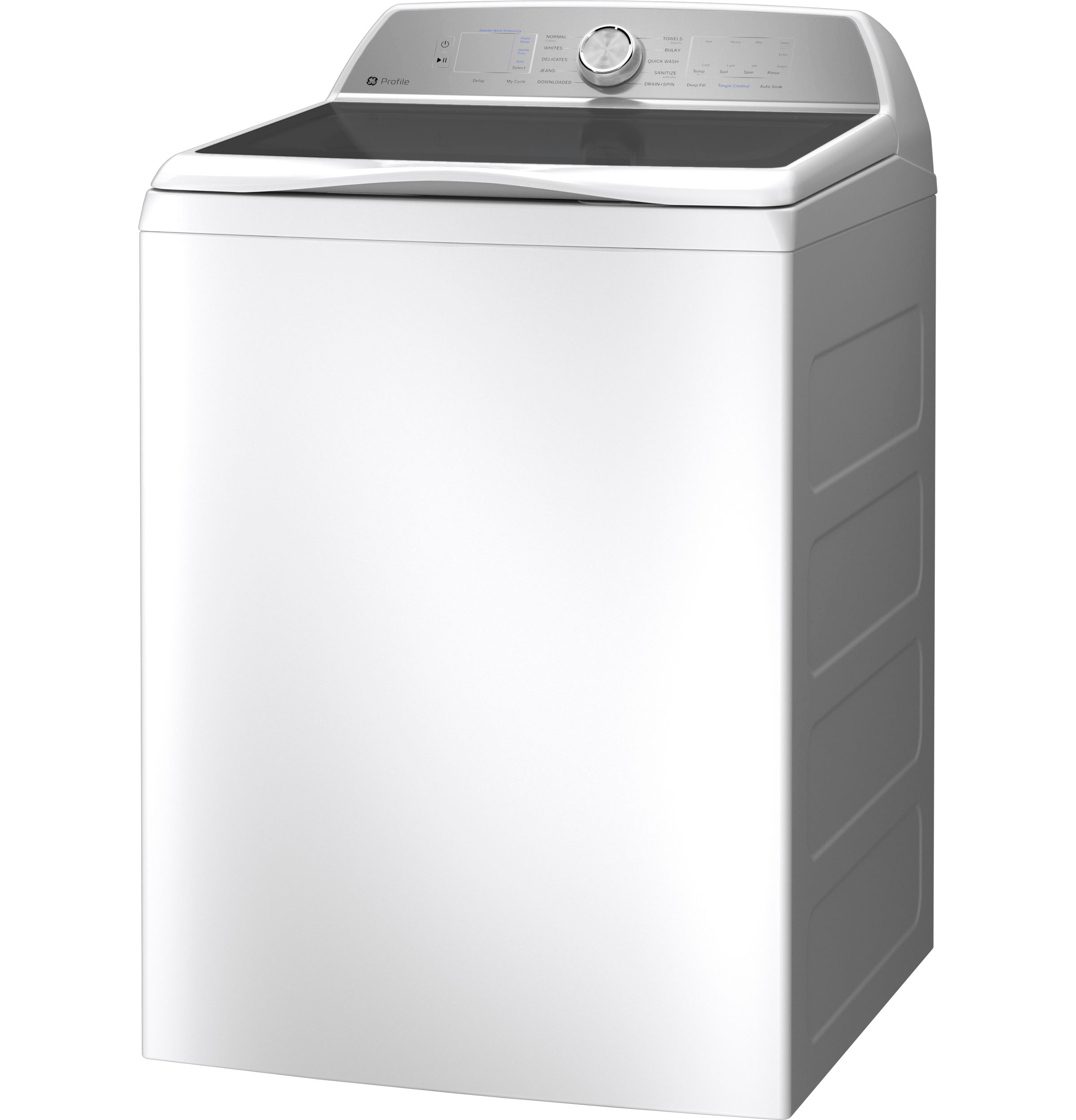 GE PTW600BSRWS