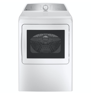 GE PTD60GBSRWS