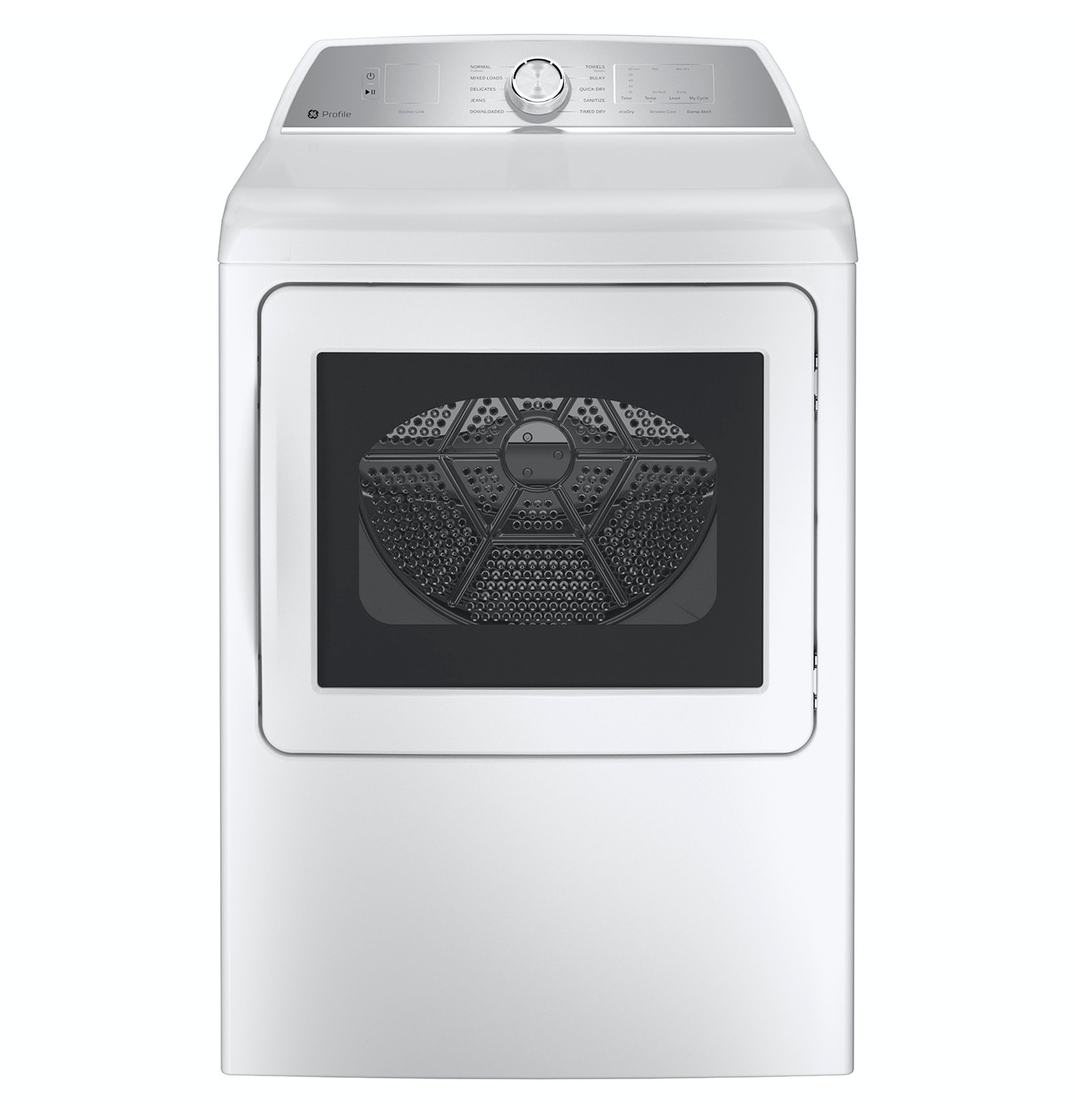 GE PTD60GBSRWS