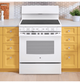 GE JB480DTWW